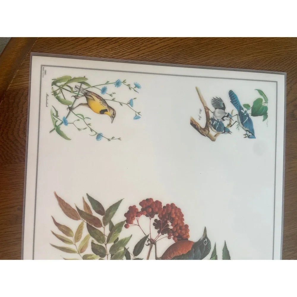 Vintage Roger Tory Peterson Songbird Placemats Set of 6 Nature Bird Art Decor